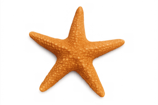 Orange sea star displaying marine life and ocean diversity, isolated on transparent background, symbolizing summer vacation and travel - Powered by Adobe
