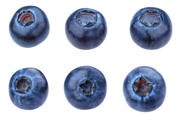 detailed overhead photograph showing a grid arrangement of six fresh, plump, deep blue blueberries isolated against a smooth transparent background.