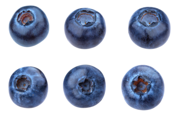 detailed overhead photograph showing a grid arrangement of six fresh, plump, deep blue blueberries isolated against a smooth transparent background.