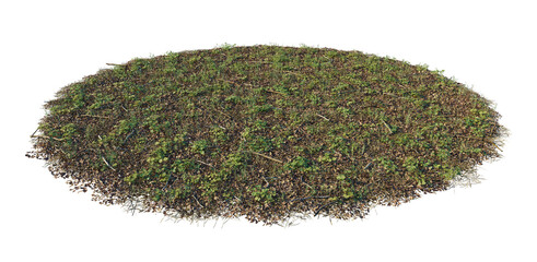 Forest ground pile with straw, leaves, clover and micro plants cutout isolated png on a transparent background premium nature cutout