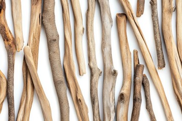 Nature's Rustic Treasures: A Collection of Exquisite Wooden Pieces’ can be rephrased as ‘Exquisite Wooden Creations: Nature's Rustic Treasures Collection