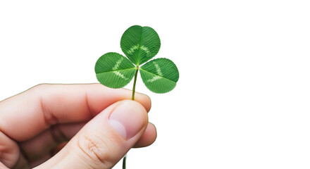 Hand holding a threeleaf clover isolated on transparent background for good luck
