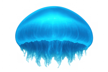 Glowing blue jellyfish floating, bioluminescent marine life, underwater ocean creature, transparent background nature