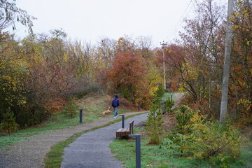 People are walking in the city park. The natural landscape. © Станислав 