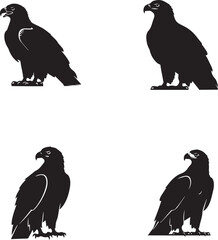 Eagle Silhouette Set – Stylized Perched Raptors in Varied Poses for Design and Education