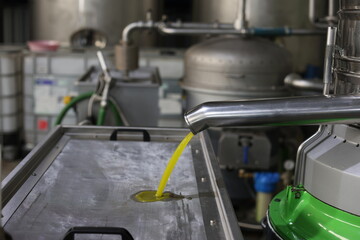 Fresh olive oil flowing from separator