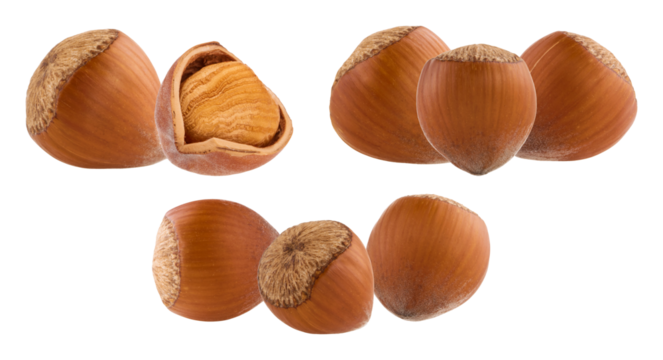 photograph of six unshelled hazelnuts grouped together, featuring one nut cracked open to reveal the textured kernel, isolated against a solid transparent background.