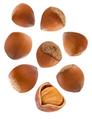 photograph depicting eight unshelled hazelnuts arranged symmetrically in a circular pattern, with one cracked nut revealing the edible kernel in the center.