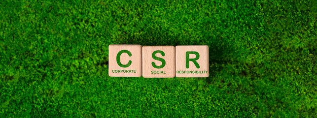 CSR goals for society and the environment towards sustainable growth