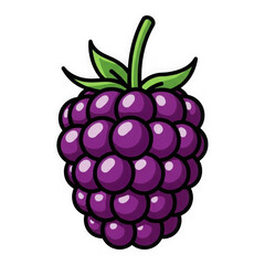 Realistic blackberry fruit with green stem and leaves transparent background