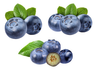 fresh, ripe blueberries presented in clusters, showcasing their dusty blue skin and the detailed interior of a sliced berry, garnished with green leaves, isolated on black.