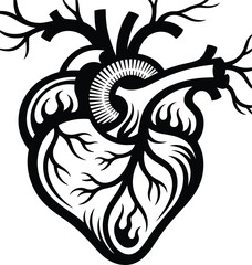 Anatomical heart svg, Medical heart svg