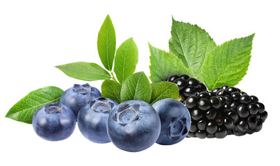 rich composition of freshly picked blueberries and blackberries, contrasted beautifully against lush green foliage, expertly isolated for maximum visual impact on black.