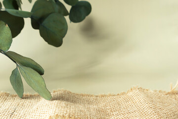 A branch of eucalyptus and a coarse linen cloth on a light background to demonstrate the product.