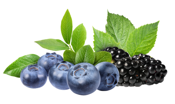 rich composition of freshly picked blueberries and blackberries, contrasted beautifully against lush green foliage, expertly isolated for maximum visual impact on black.