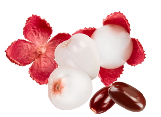 lychee fruit composition featuring peeled white segments, exposed dark seeds, and vibrant red skin fragments, isolated on a stark transparent background.