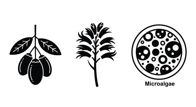 Explore diverse plant life with stylized olive branch and microalgae icon