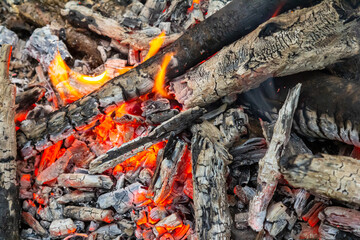 Glowing embers and charred wood creating vibrant colors in a warm fire pit during evening gatherings in a backyard setting