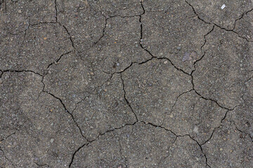 Dry cracked earth showing signs of drought during summer in an arid landscape highlighting the effects of climate change on soil quality