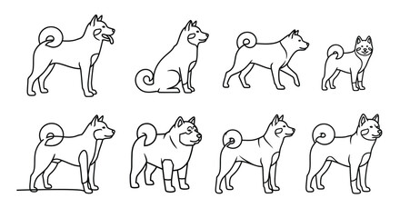 Shiba inu dog breed line art poses for animal education resources