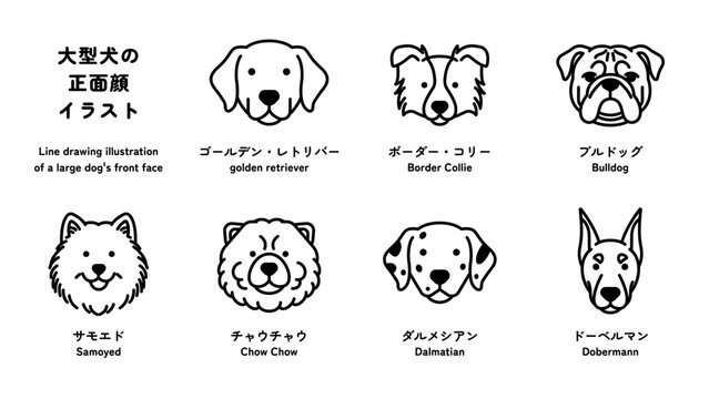 大型犬の正面顔の線画イラストセット（ゴールデン・レトリバー、ブルドッグなど） 編集可能なパス