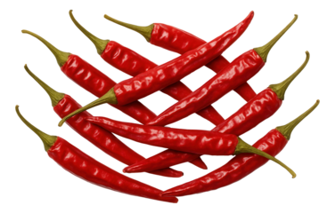 Vanilla sponge cake layer, light and airy, suitable for delicate multi-layered cake creations with fruit fillings