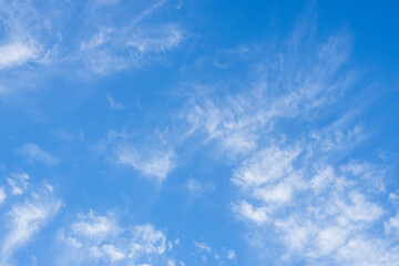 秋の空　印象的な青空と雲05