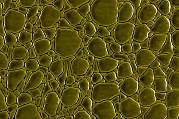 Shiny green leather surface close up.