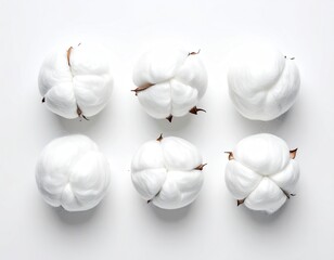 Six fluffy cotton balls in orderly rows on a white field