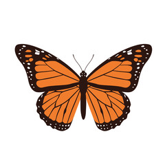 Stylized Monarch Butterfly Isolated Vector Illustration