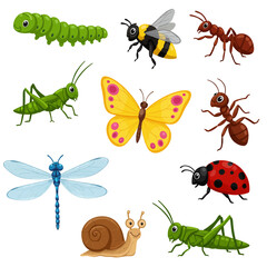 Cute Cartoon Garden Insects and Wildlife Characters Set