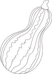 Outline of a Long Gourd with Wavy Stripes