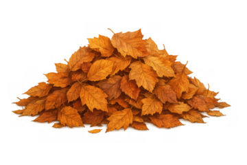 Pile of dried autumn foliage creating a textured design element, representing fall season with a transparent background