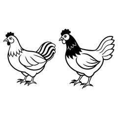 Fototapeta premium Hen and Rooster Illustration