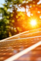 A close-up of solar panels reflecting sunlight, surrounded by greenery, capturing the essence of renewable energy and sustainability.
