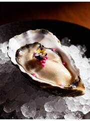 Fresh Oyster on Ice. A luxury aphrodisiac and gourmet appetizer.