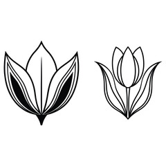 Obraz premium Tulip Flower Outline
