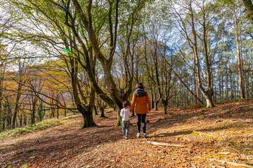 Fototapeta premium Mother and son walking hand in hand through autumn forest