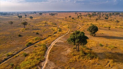 Naklejka premium Expansive Aerial View of Savanna Plains with Scattered Trees and Winding Paths