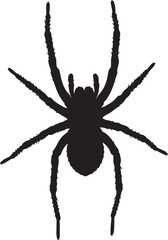 Black silhouette of a spider with eight legs spread out on a white background insect arachnid on transparent background
