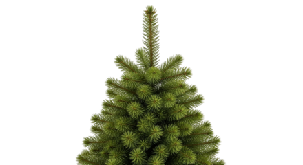 Closeup view of the top of a green christmas tree with detailed needles, isolated on transparent background