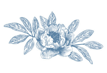 Botanical blue wedding flower on white background. Hand drawn floral, flower and leaf branch in toile de jouy style. Line art for wedding, monogram, invitation, greeting, logo, birthday cards © anya