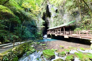 山口の観光地の秋芳洞と秋吉台