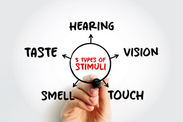 The 5 types of external stimuli - divided into our senses: touch, vision, smell and taste, mind map concept for presentations and reports with marker