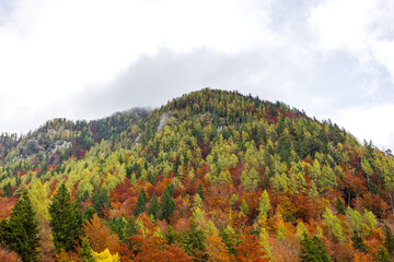 close up view of mountain pick covered by colorful autumn forest. alpine mountain forest in autumn colors. alpine autumn. atmospheric