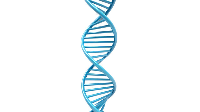 Blue dna strand on white clean background, genetic code concept
