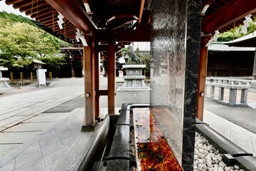 福岡の宗像神社