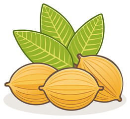Yellow Cardamom Pods with Green Leaves Illustration