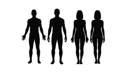 Human Body Silhouettes Vector Set. Male and Female Figures Standing in Front View for Medical, Fitness, or Anatomy Design.