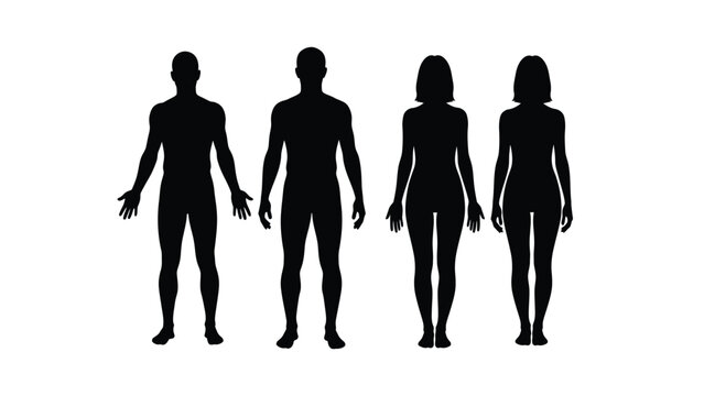 Human Body Silhouettes Vector Set. Male and Female Figures Standing in Front View for Medical, Fitness, or Anatomy Design.